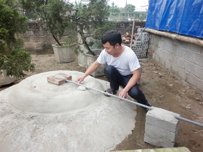 Cho thuê cây cảnh nội thất văn phòng, cho thuê cây cảnh văn phòng, cho thuê cây văn phòng, cho thuê và chăm sóc cây cảnh, chăm sóc cây cảnh, bảo dưỡng cây cảnh